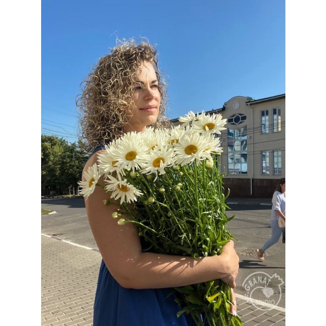 РОМАШКА
