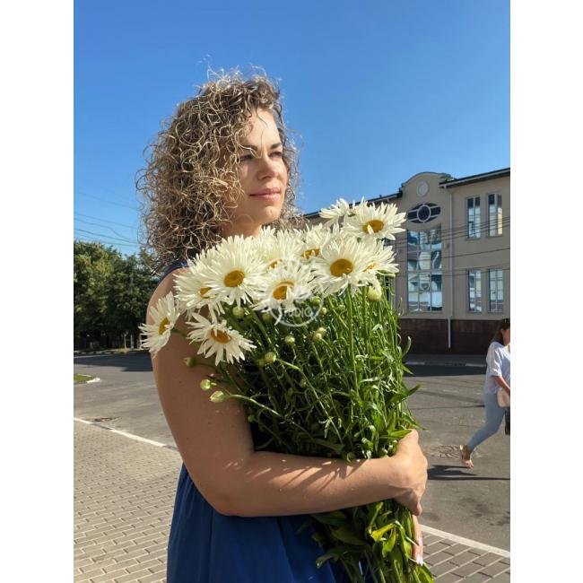 РОМАШКА